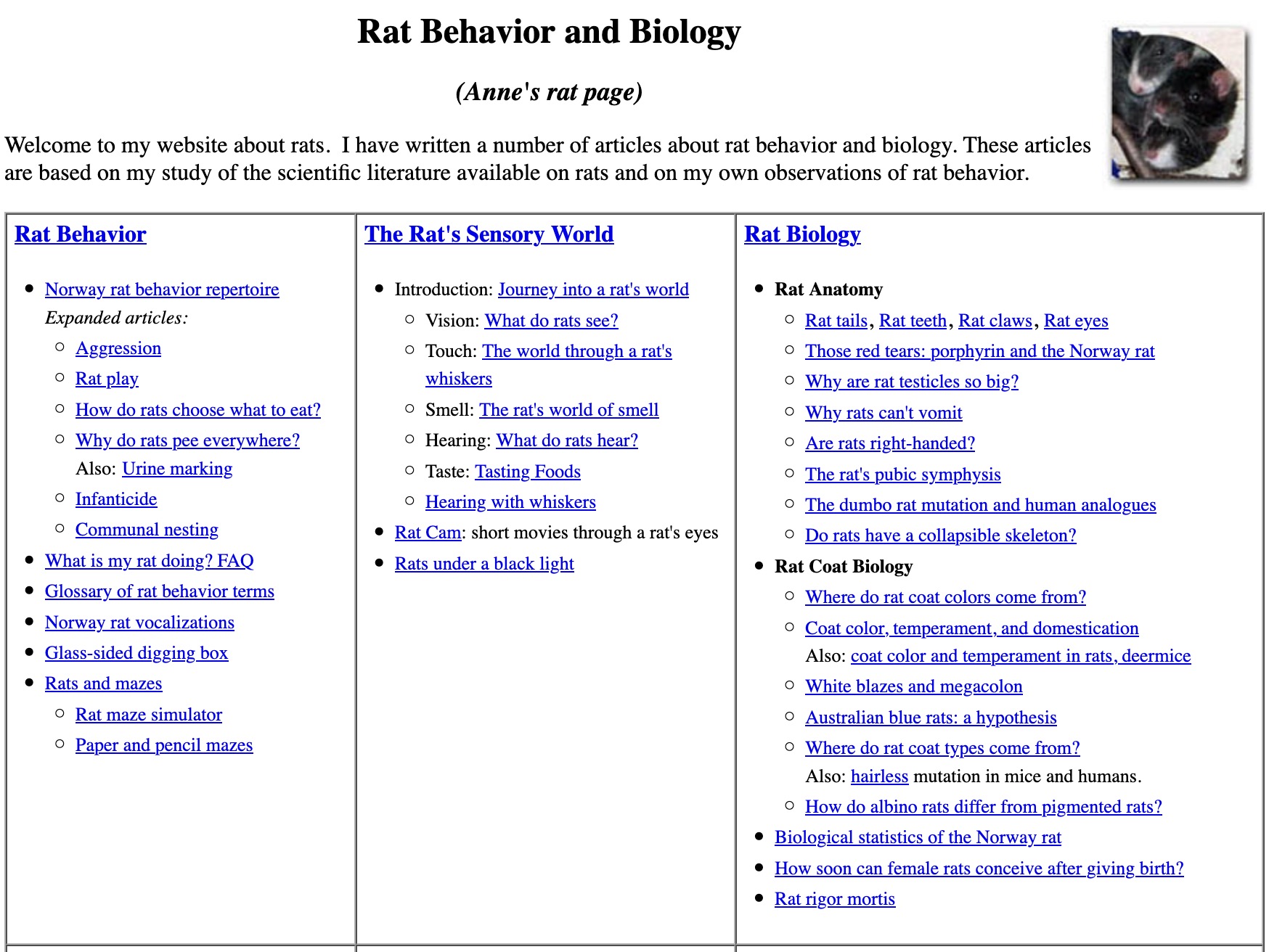 Rat Behavior Website