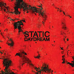 staticdaydream album cover
